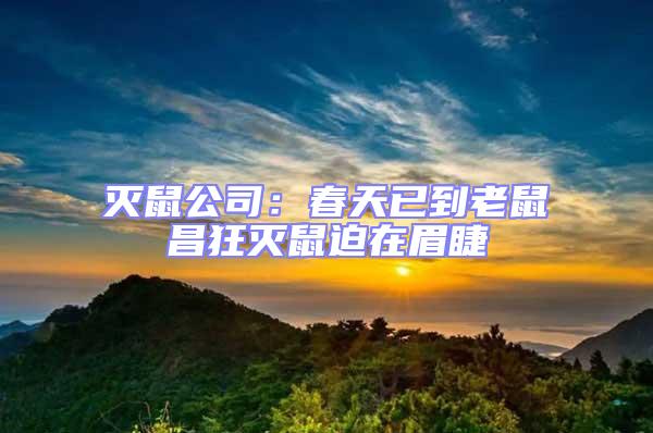 滅鼠公司:春天已到老鼠昌狂滅鼠迫在眉睫