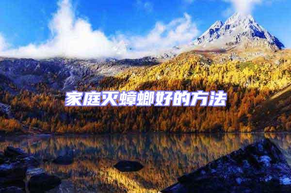 家庭滅蟑螂好的方法