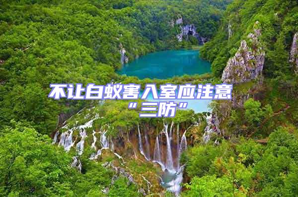 不讓白蟻害入室應(yīng)注意“三防”