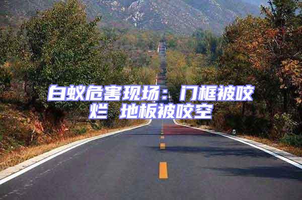 白蟻危害現(xiàn)場:門框被咬爛 地板被咬空