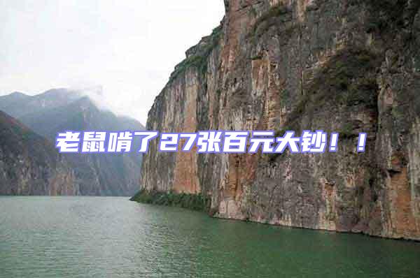 老鼠啃了27張百元大鈔??！