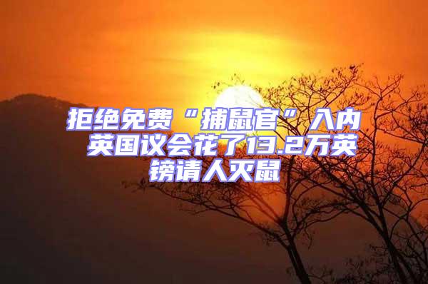 拒絕免費“捕鼠官”入內 英國議會花了13.2萬英鎊請人滅鼠