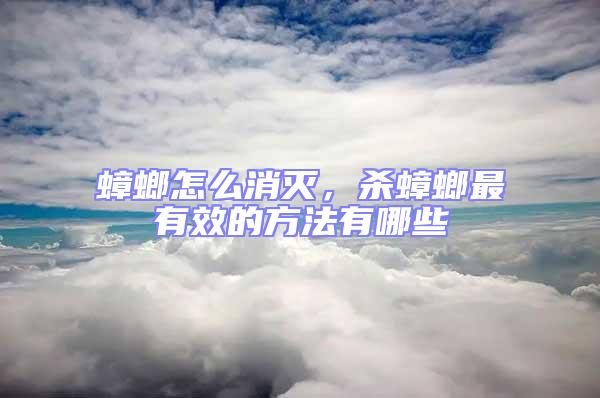 蟑螂怎么消滅，殺蟑螂最有效的方法有哪些