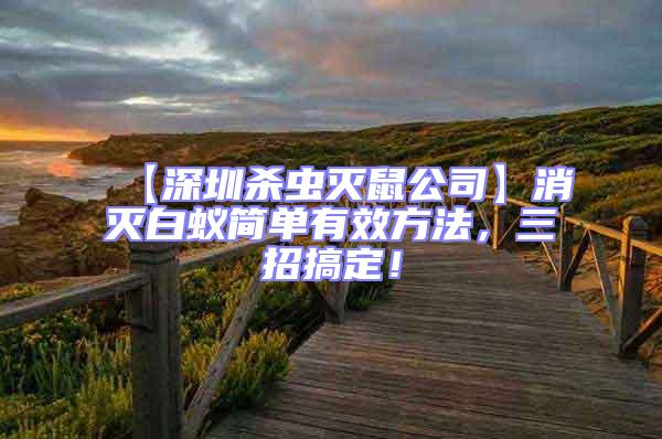 【深圳殺蟲滅鼠公司】消滅白蟻簡單有效方法，三招搞定！