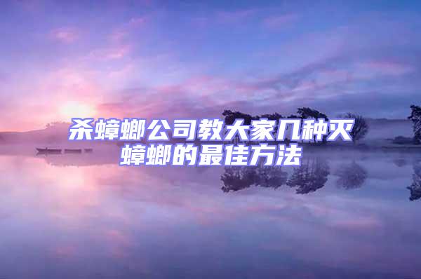 殺蟑螂公司教大家?guī)追N滅蟑螂的最佳方法