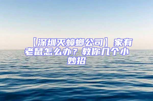 【深圳滅蟑螂公司】家有老鼠怎么辦？教你幾個小妙招