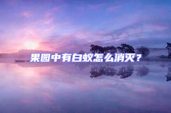 果園中有白蟻怎么消滅？