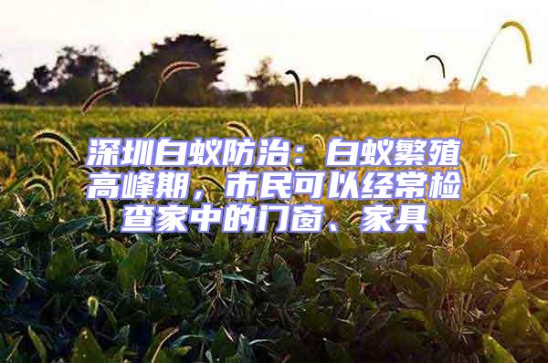 深圳白蟻防治：白蟻繁殖高峰期，市民可以經(jīng)常檢查家中的門窗、家具