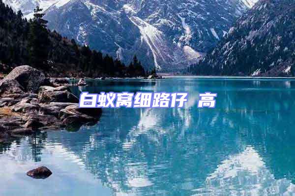 白蟻窩細(xì)路仔咁高