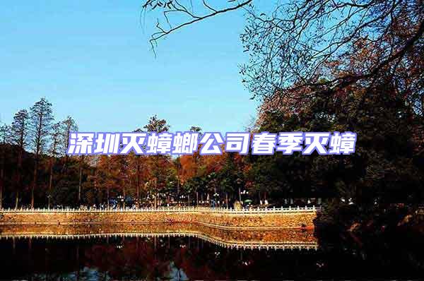 深圳滅蟑螂公司春季滅蟑