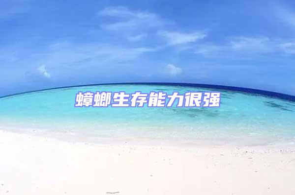 蟑螂生存能力很強(qiáng)