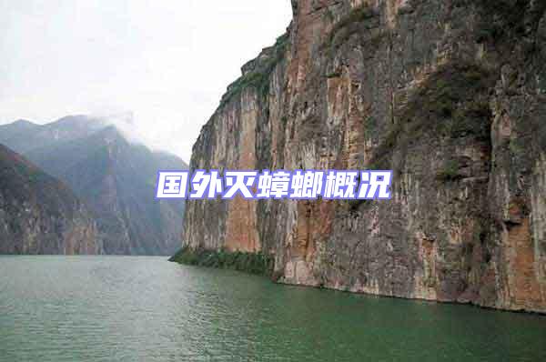 國外滅蟑螂概況