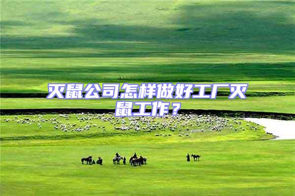 滅鼠公司怎樣做好工廠滅鼠工作?