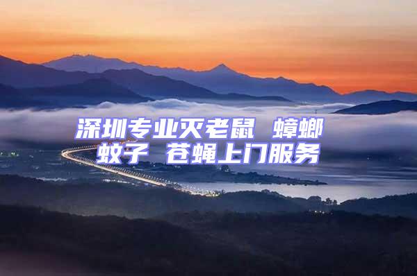 深圳專業滅老鼠 蟑螂 蚊子 蒼蠅上門服務