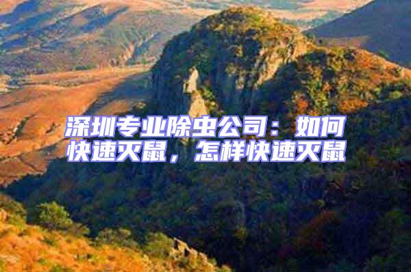 深圳專業(yè)除蟲(chóng)公司：如何快速滅鼠，怎樣快速滅鼠