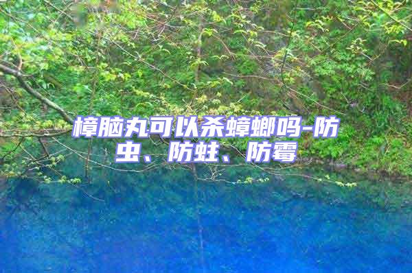 樟腦丸可以殺蟑螂嗎-防蟲(chóng)、防蛀、防霉