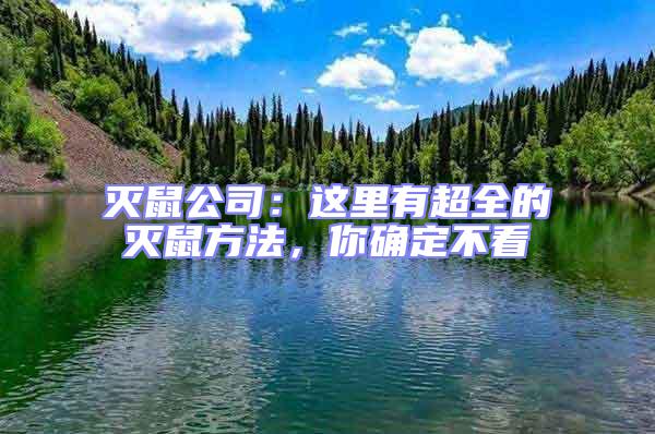 滅鼠公司：這里有超全的滅鼠方法，你確定不看