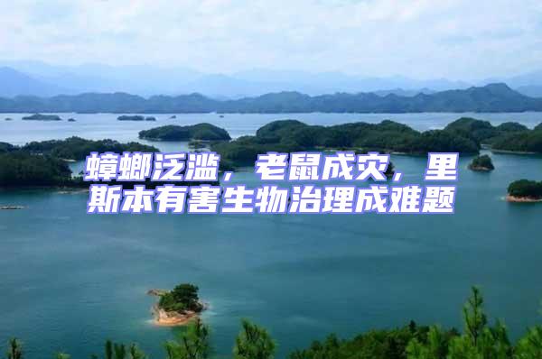 蟑螂泛濫，老鼠成災(zāi)，里斯本有害生物治理成難題