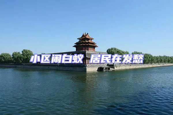 小區(qū)鬧白蟻 居民在發(fā)愁