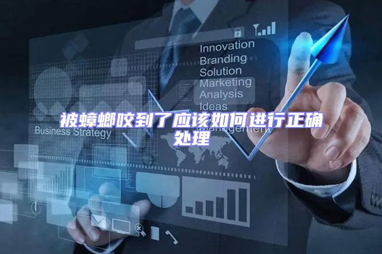 被蟑螂咬到了應(yīng)該如何進(jìn)行正確處理