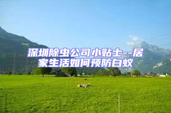 深圳除蟲公司小貼士--居家生活如何預(yù)防白蟻