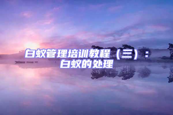 白蟻管理培訓(xùn)教程（三）：白蟻的處理