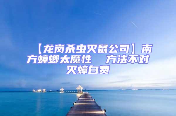 【龍崗殺蟲滅鼠公司】南方蟑螂太魔性  方法不對滅蟑白費