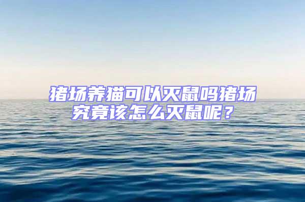 豬場養(yǎng)貓可以滅鼠嗎豬場究竟該怎么滅鼠呢？