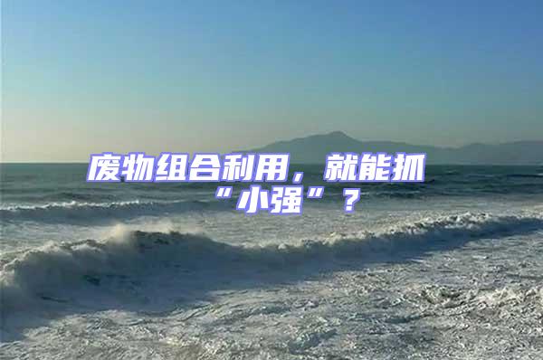 廢物組合利用，就能抓“小強”？