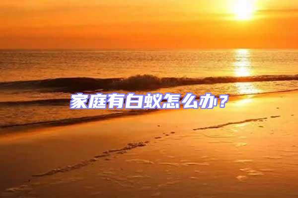 家庭有白蟻怎么辦？
