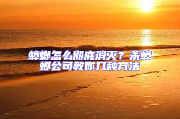 蟑螂怎么徹底消滅?殺蟑螂公司教你幾種方法