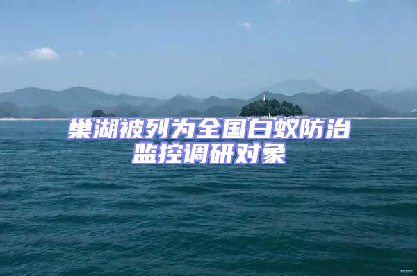 巢湖被列為全國(guó)白蟻防治監(jiān)控調(diào)研對(duì)象