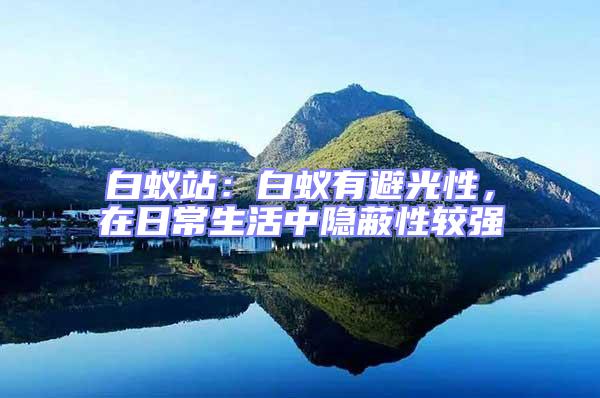 白蟻站：白蟻有避光性，在日常生活中隱蔽性較強