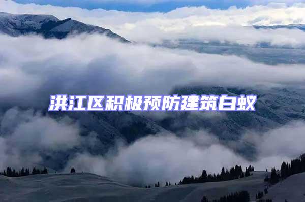 洪江區積極預防建筑白蟻