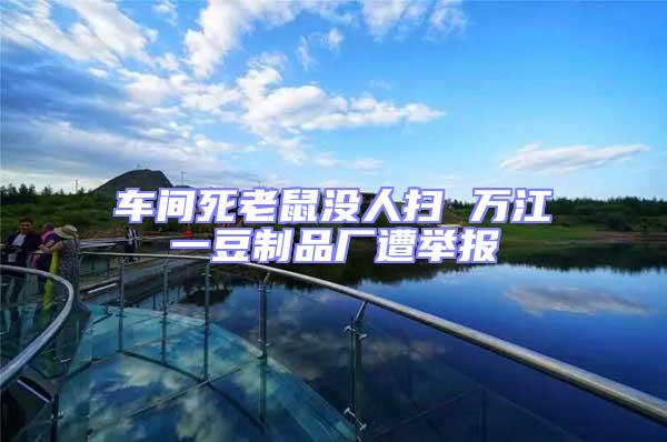 車間死老鼠沒人掃 萬江一豆制品廠遭舉報