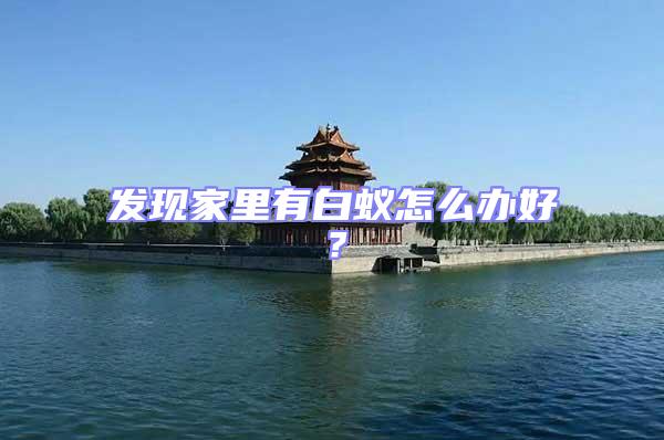 發(fā)現(xiàn)家里有白蟻怎么辦好？