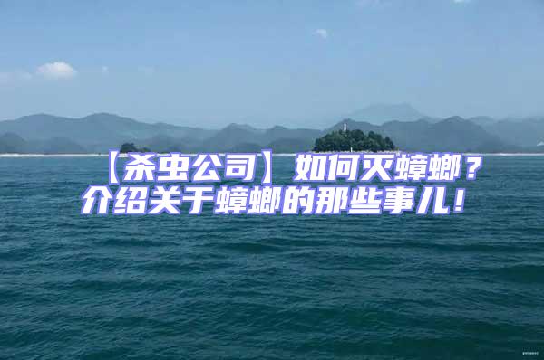 【殺蟲公司】如何滅蟑螂？介紹關于蟑螂的那些事兒！