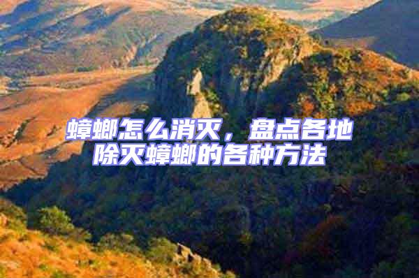 蟑螂怎么消滅,盤點(diǎn)各地除滅蟑螂的各種方法