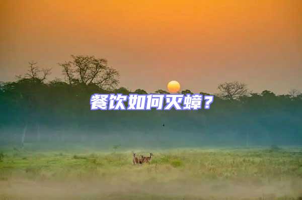 餐飲如何滅蟑？