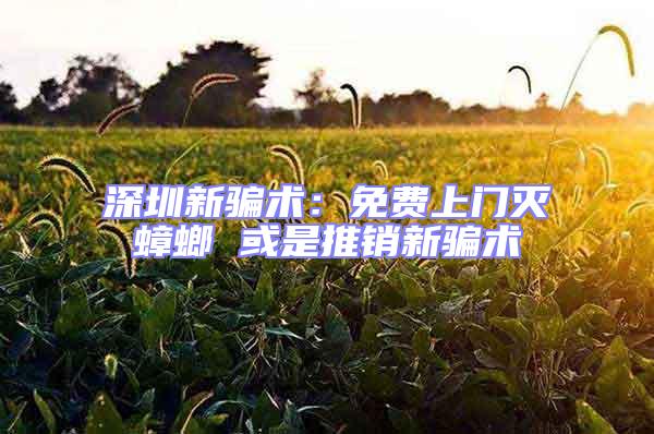 深圳新騙術：免費上門滅蟑螂 或是推銷新騙術