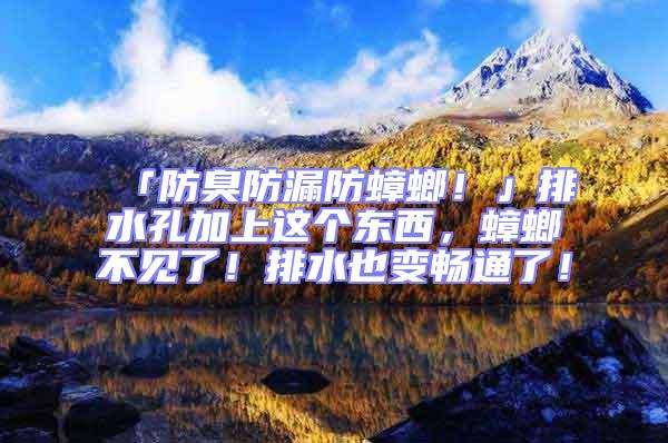 「防臭防漏防蟑螂！」排水孔加上這個東西，蟑螂不見了！排水也變暢通了！