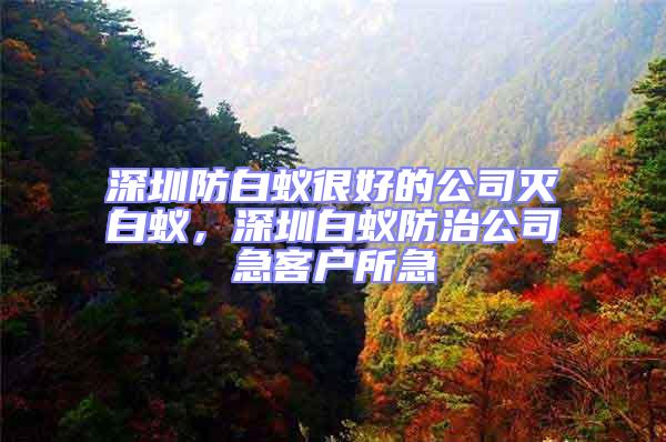 深圳防白蟻很好的公司滅白蟻，深圳白蟻防治公司急客戶所急