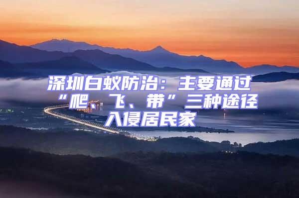 深圳白蟻防治：主要通過“爬、飛、帶”三種途徑入侵居民家