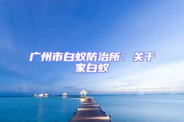 廣州市白蟻防治所：關于家白蟻