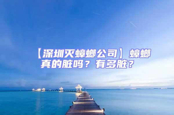 【深圳滅蟑螂公司】蟑螂真的臟嗎？有多臟？