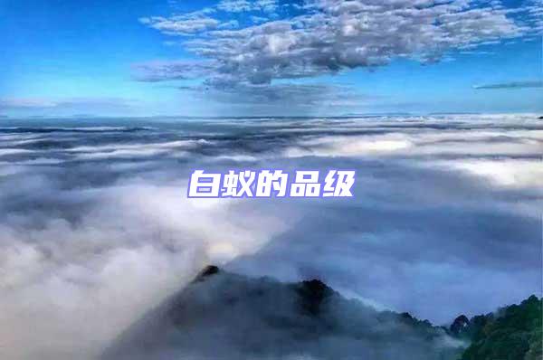 白蟻的品級
