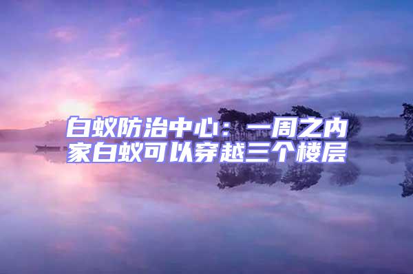 白蟻防治中心：一周之內家白蟻可以穿越三個樓層