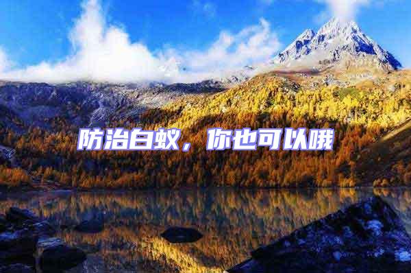 防治白蟻,你也可以哦