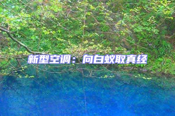 新型空調：向白蟻取真經