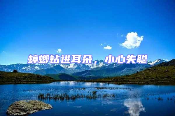 蟑螂鉆進(jìn)耳朵，小心失聰